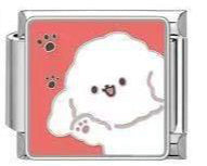 Bichon