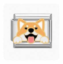 Corgi