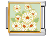 White Daisies