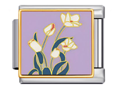 White Tulips