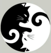ying yang cats