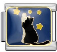 Starry Cat