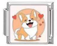 Cutie Corgi