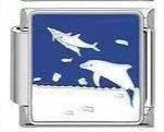Dolphins