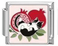 Pomegranate Kitty