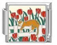 Orange Cat in Garden
