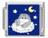 Meow On Cloud