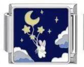 Bunny with moon