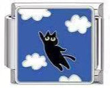 cat in sky