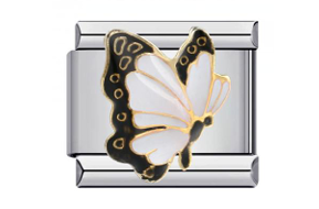 White Butterfly