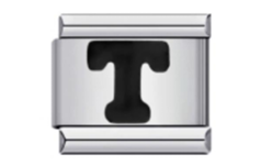 T 2.0