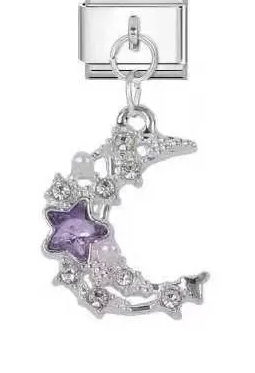 Violet Starry Moon Charm