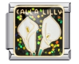 Calla Lily