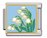 White Daffodils