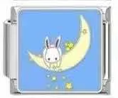 Moon Bunny