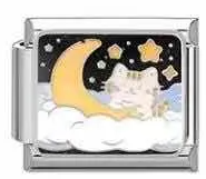 Meow on the Moon