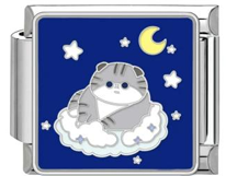 Sleeping Kitty