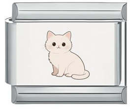Kitten