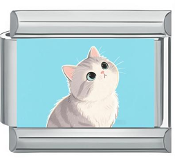 Curious Kitty