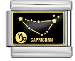Capricon